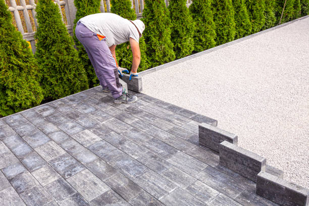 Best Residential Paver Driveway  in Dolan Springs, AZ